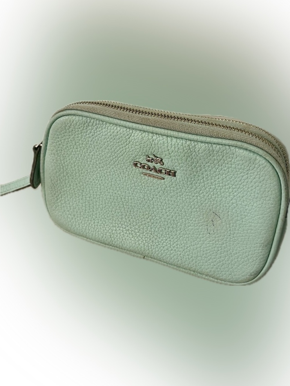 Coach Leather Crossbody Bag in Mint Green
